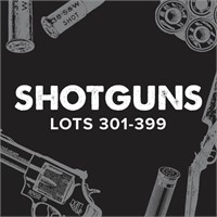 Firearms, Ammo, & Accessories Auction