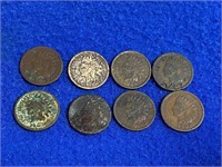 Indian Head Pennies (8)