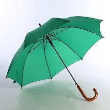 Umbrella with Wood Handle