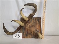 Retro Bull Horn Wall Display/Hat Rack