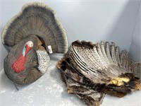 COLECTION OF TURKEY FANS AND DECOY