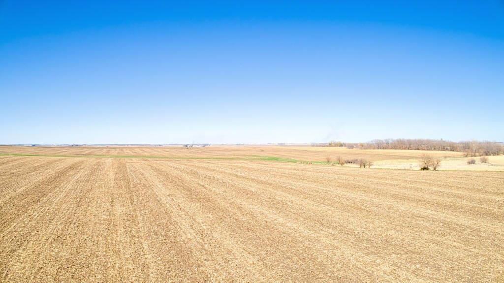 160 Acres m/l in Clay County, Iowa