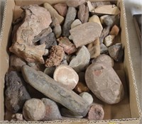 Box of Petrified Wood, Fossils, & Rocks