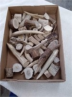 Group of pieces of antler