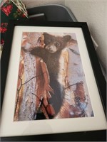 Small Cub in the tree framed picture