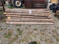 45 Cedar Fence Posts