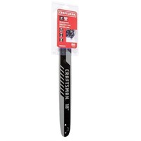 Craftsman Chain And Chain Guide 16 In $48