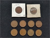 10 Assorted Indian Head Pennies