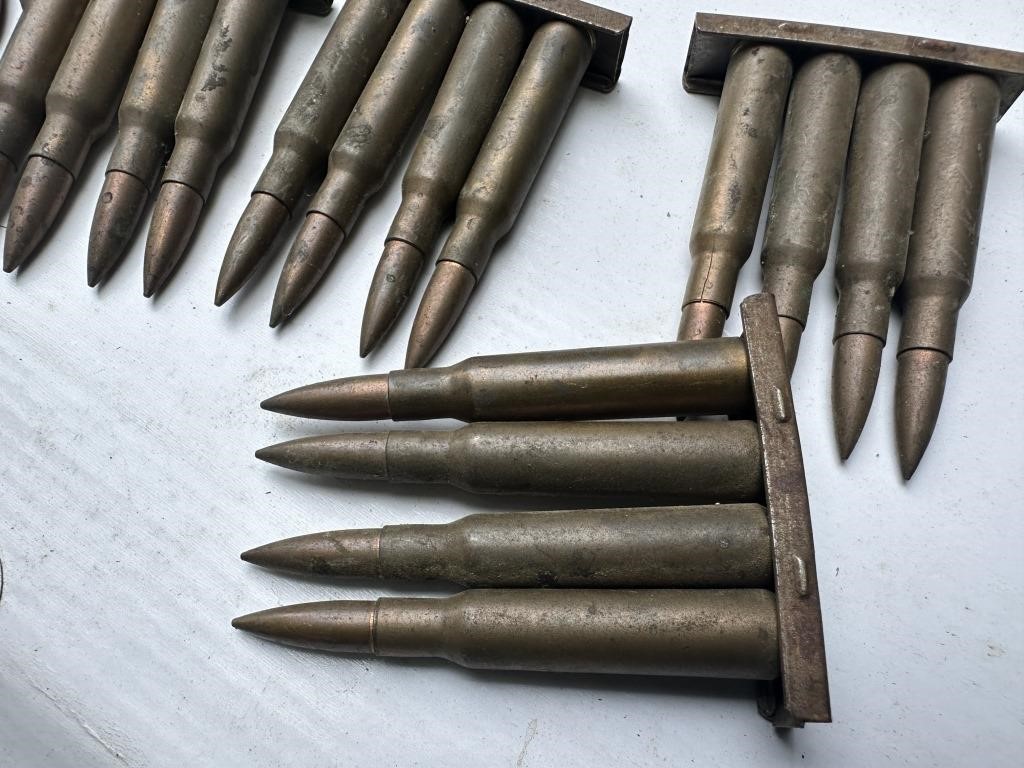 Twenty Rounds of Rifle Ammunition    WB