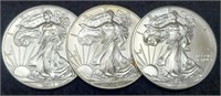 (3) Silver Eagles: 2002, 13, 15