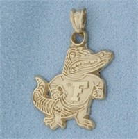 University of Florida Gator Pendant in 14k Yellow