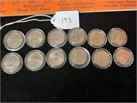 US State Quarters in Cases