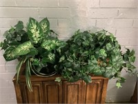 Silk Plants W/Pots