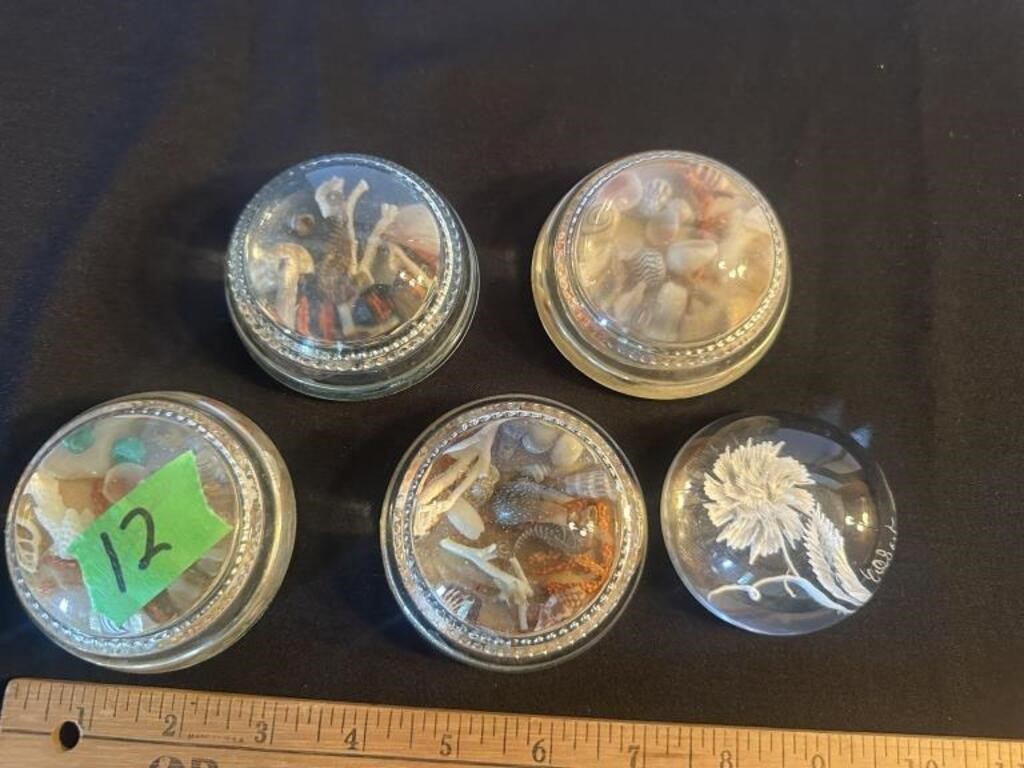 5 clear glass paperweights