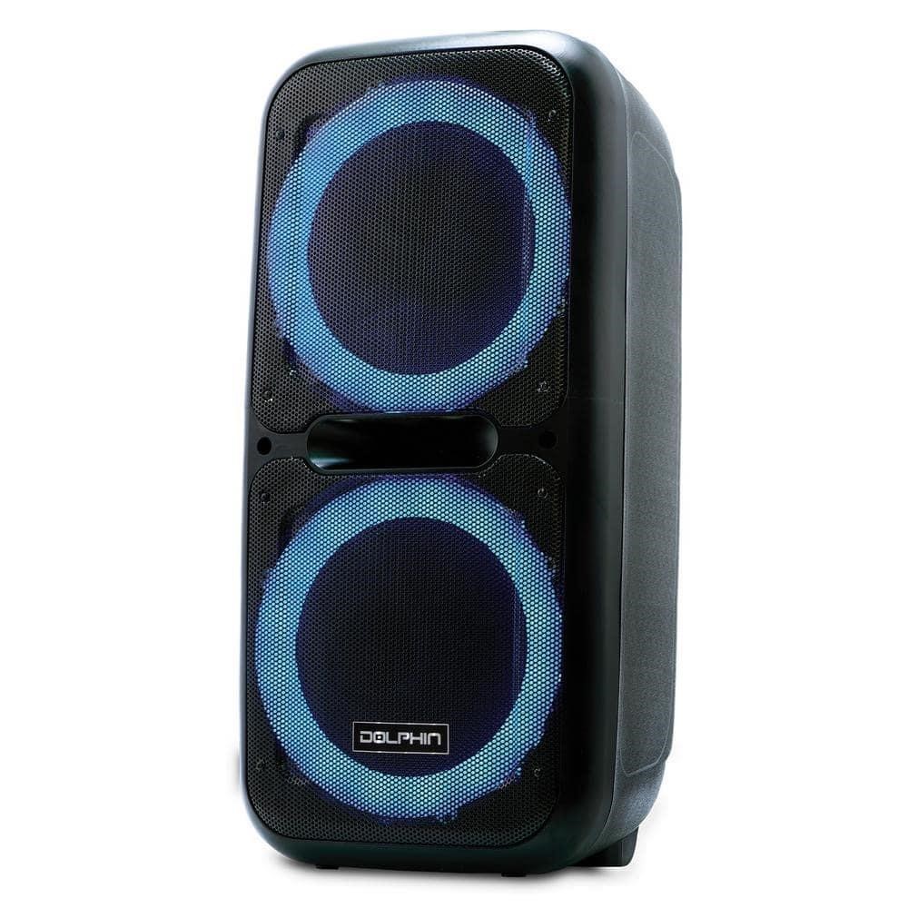 12 in. Dual Rechargeable Party Speaker