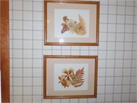 2 Framed pressed leaves BR2