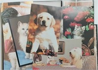 NORTHSHORE ANIMAL LEAGUE DOG & CAT POSTCARDS