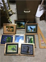 8 framed photos
