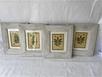 Framed Botanical Prints (12" x 16"; qty. 4)