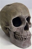 faux gray skull decor