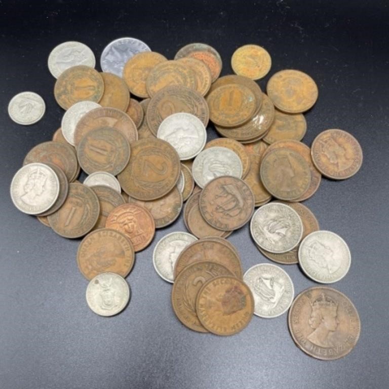 Domestic and International Coins