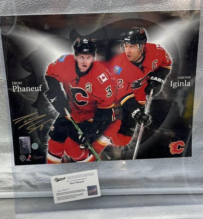 11x14in signed hockey picture