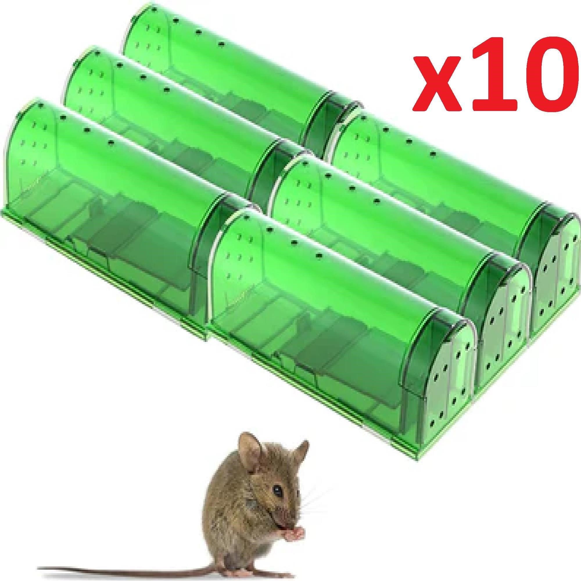 Mouse Trap Catch - Lot of 10 - New