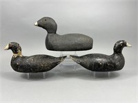 3 Factory Coot Decoys