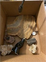 Petrified Wood and Other Rocks