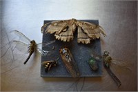Vintage Insect Specimens in Wooden Box