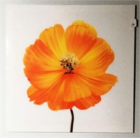 Flower Print Under Plexiglass