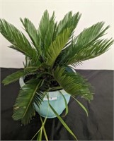 SAGO PALM IN PLANTER  [OUT FRONT]