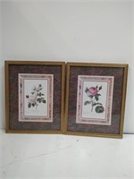 2 Gold Framed Rose Prints