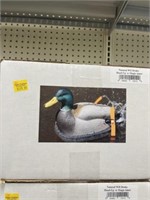 WONDER DUCK HEAD UP DRAKE DECOY