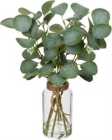 Briful Eucalyptus Stems in Vase  14