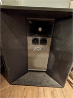 Peavey Speaker - 100 Watts