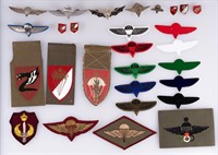 MIDDLE EASTERN PARATROOPS WINGS BADGES INSIGNIA