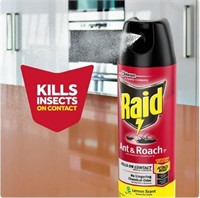 Raid Defend Indoor Roach & Ant Killer Bug Spray