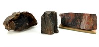 (3) Petrified Wood