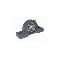 Big Bearing BLP202-10G Light Duty Pillow Block