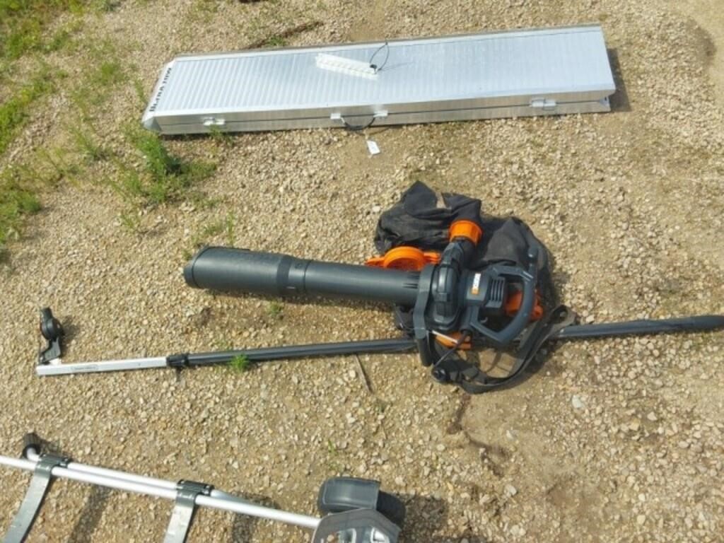 Worx electric blower and tree trimmer