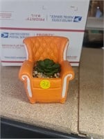 Chair plant