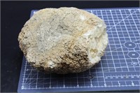 Large Quartz Specimen, 7lbs 13oz