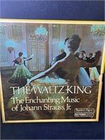 Johann Strauss Jr Record Collection