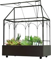 Large Glass Succulent Terrarium Kit
