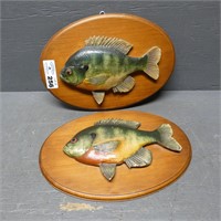Pair of Early Sunfish Wall Plaques