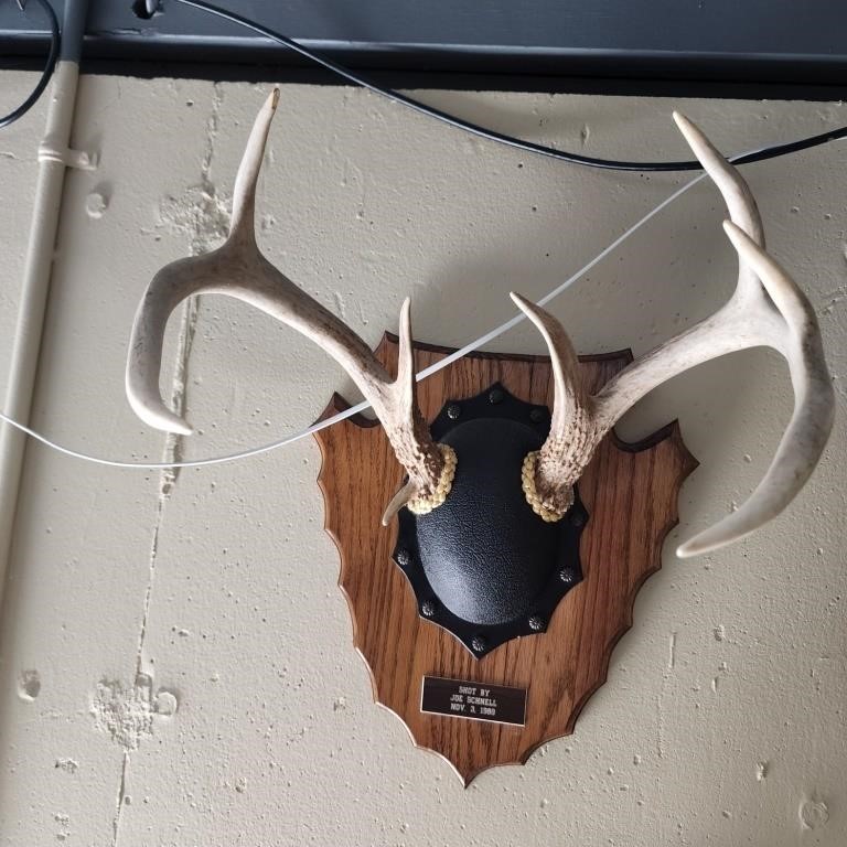 Elk, Caribou, Deer Mounts