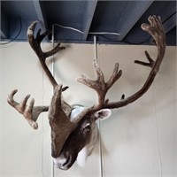 Caribou Mount