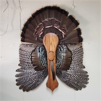 Turkey Mount