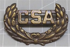 CSA pin